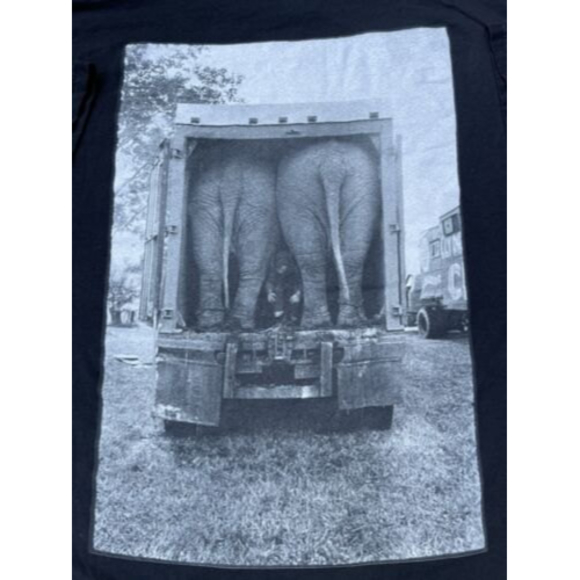 Cirque Du Soleil Delirium Local Crew Concert Tour Shirt Elephant Butts Sz XL - Picture 1 of 7